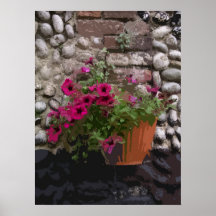 FLORES DE PARED 2 POSTERS