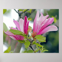 Flores de Ttree Impresiones