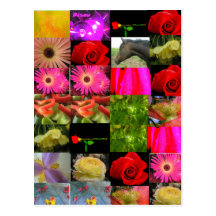 Flores del collage de la variedad, comida, postal 