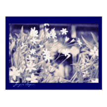 Flores del duendecillo, postal frameable
