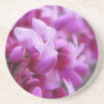 Flores del este de Redbud Posavasos Manualidades