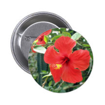 Flores del hibisco pin