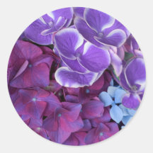 Flores del Hydrangea Etiquetas