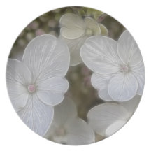 Flores del Hydrangea Platos
