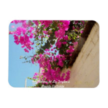 Flores del imán del refrigerador en el picovoltio 