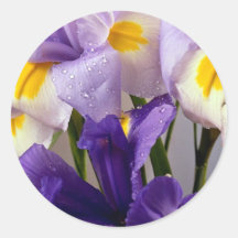 Flores del iris etiqueta