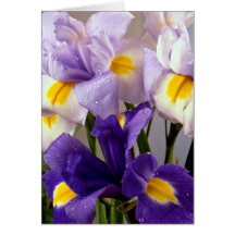 Flores del iris felicitacion 