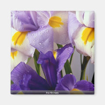 Flores del iris imanes para frigoríficos