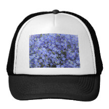 Flores del lino en los jardines de Longwood, Penns Gorros Bordados