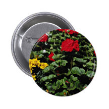 Flores del macizo de flores pins