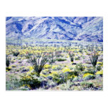 Flores del Ocotillo y del desierto en la floración Postal