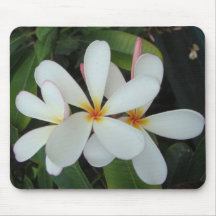 Flores del Plumeria Alfombrilla De Ratón