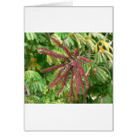 Flores del rojo del árbol tarjetas