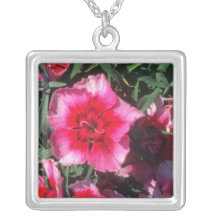 Flores del rosa de China (clavel Chinensis) Grimpolas Personalizadas