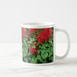 Flores del sabio del escarlata (Salvia Splendens) Tazas De Café
