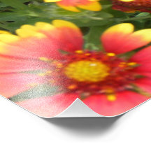 flores del verano arte con fotos