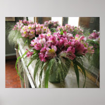 Flores en capa poster