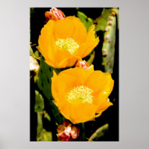 FLORES EN EL GARDER POSTERS