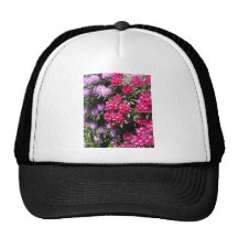 flores en la plena floración gorras