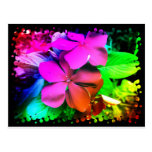 Flores enrrolladas de la diversión tarjeta postal