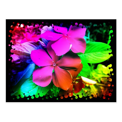 Flores enrrolladas de la diversión tarjeta postal
