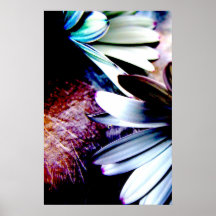 Flores estridentes poster