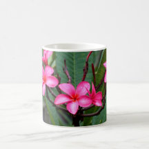 Flores exóticas taza