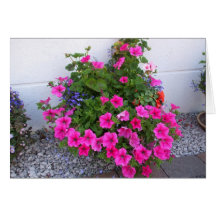flores felicitacion 