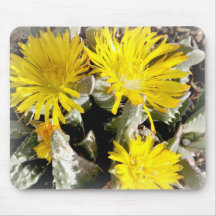 Flores florecientes del cactus amarillo tapete de raton