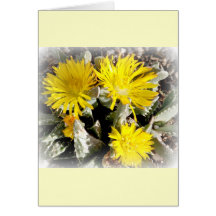 Flores florecientes del cactus amarillo felicitacion 