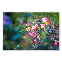 Flores frías impresiones fotograficas