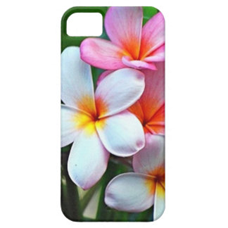 Flores hawaianas del Plumeria iPhone 5 Funda