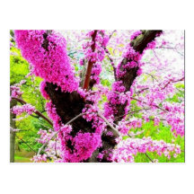 flores hermosas, árbol postal