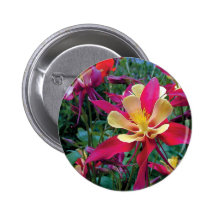 flores hermosas del color pin