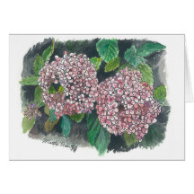 flores - Hydrangea rosado Tarjeta