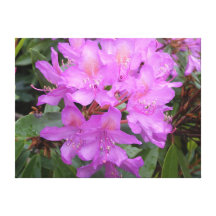 Flores Impresion En Lona