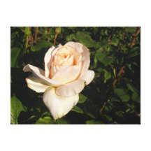 Flores Impresiones De Lienzo