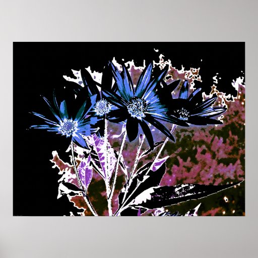 Flores indeterminadas posters