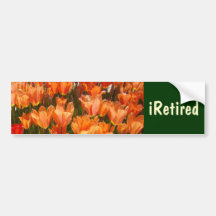 flores iRetired del tulipán del retiro de las pega Etiqueta De Parachoque