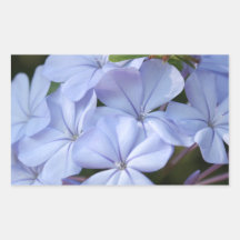 Flores italianas. #2 rectangular altavoces