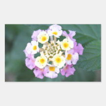 Flores italianas. #3 rectangular pegatinas