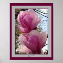 Flores magníficas del árbol de la magnolia impresiones