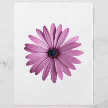 Flores: Margarita Flyer A Todo Color