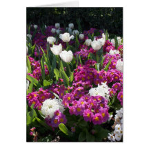 Flores mezcladas de la primavera en cama de flor tarjeton