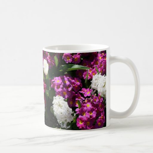 Flores mezcladas de la primavera en cama de flor taza