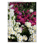 Flores mezcladas de la primavera felicitaciones
