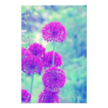 Flores mundo fotografias