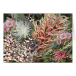 Flores nativas australianas felicitacion 