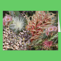 Flores nativas australianas tarjetas