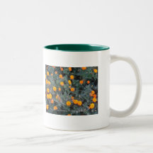 Flores para usted tazas